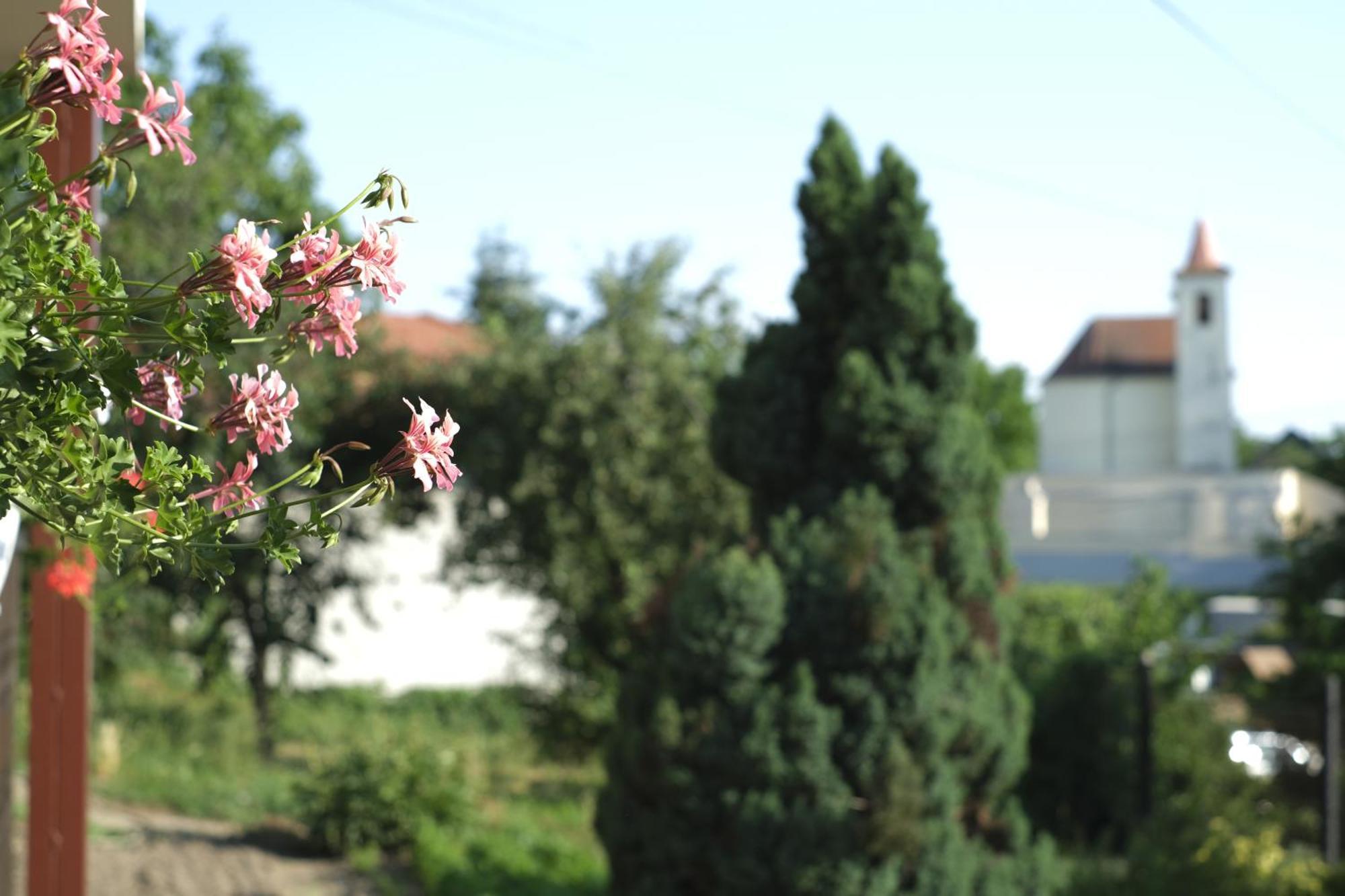 Panoráma Apartmanház Sárvár Exterior foto